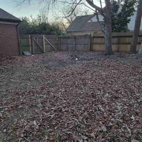 Leaf Removal by Landscape Plus reviewed on August 21, 2025