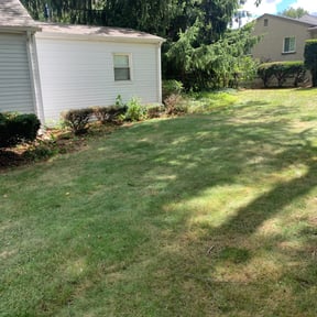 Bush Trimming by Fresh Start Lawn & Landscaping Services reviewed on August 18, 2025