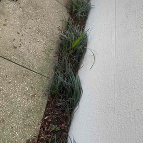 Leaf Removal by ABDIELLANDSCAPING reviewed on September 30, 2025