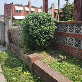 Bush Trimming by SMG LAWN CARE LLC reviewed on August 14, 2026