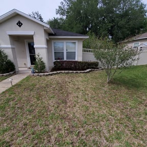 Bush Trimming by Taurus enterprise and construction LLC  reviewed on November 20, 2025