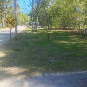 Leaf Removal by Love for the lawn reviewed on May 24, 2026