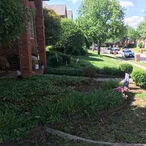 Bush Trimming by Inspo Lawn Care reviewed on August 16, 2025
