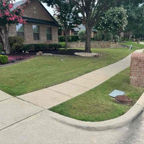 turf maintenance by Asgardian Design reviewed on August 20, 2025