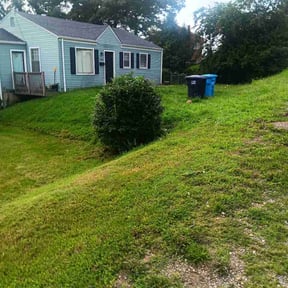 Bush Trimming by A&amp;A reviewed on August 6, 2026