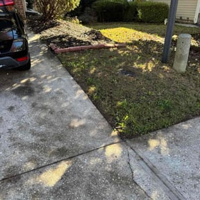 Leaf Removal by Braddy family holdings landscaping reviewed on November 5, 2025