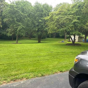 turf maintenance by TwinEagleLandscaping reviewed on May 13, 2024