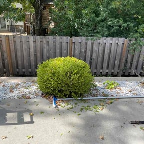 Bush Trimming by LaPriest Blocker reviewed on August 17, 2025