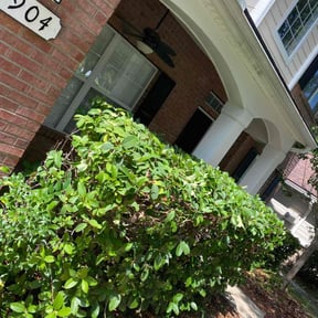 Bush Trimming by B&C Lawn and Landscaping LLC reviewed on August 16, 2025