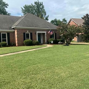Bush Trimming by Rayne Lawn &amp; Property Maintenance reviewed on July 30, 2026