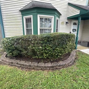 Bush Trimming by Tikitiki Garden Service reviewed on August 7, 2025