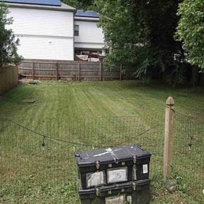 Leaf Removal by Lawrence Lawn Care reviewed on August 20, 2025