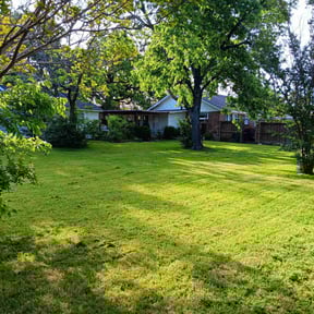 lawn care services by Torres Lawn Care reviewed on August 21, 2025