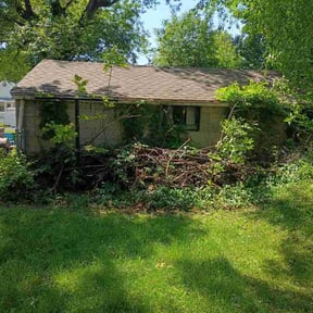 Leaf Removal by A&amp;A reviewed on June 10, 2026