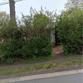 Bush Trimming by Lakeside Lawn Care reviewed on April 25, 2026