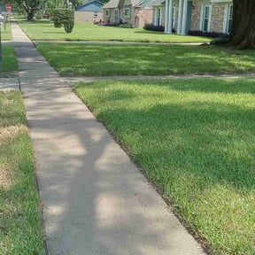 gardening service by M&amp;M lawn care reviewed on August 21, 2025