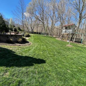 yard service by Olguin Property Management reviewed on August 15, 2025