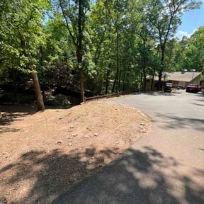 Leaf Removal by Vegas Lawn Guru reviewed on April 29, 2026