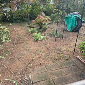 Bush Trimming by JPS Lawn Care Services reviewed on August 2, 2025