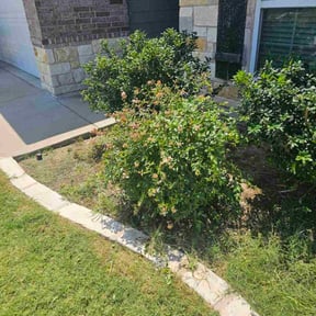 Bush Trimming by Peralta Lawncare Services reviewed on April 9, 2025