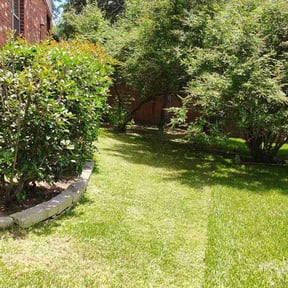 lawn care services by M&amp;N Lawncare reviewed on August 17, 2025