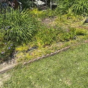 Flower Bed Weeding by Sarr’s Lawn and Home Care reviewed on November 25, 2024