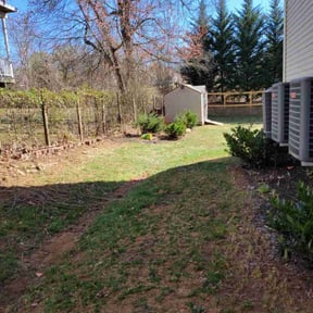 Leaf Removal by Terry Lawncare reviewed on August 20, 2025
