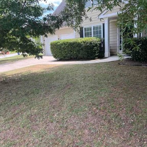 Bush Trimming by ProGreenlq reviewed on June 7, 2026