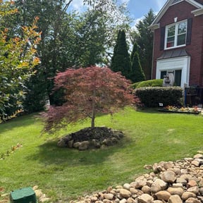 turf care by Mighty Mowing Yard Rangers reviewed on August 19, 2025