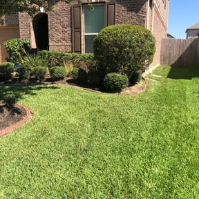 Bush Trimming by D&P ENTERPRISE reviewed on August 20, 2025
