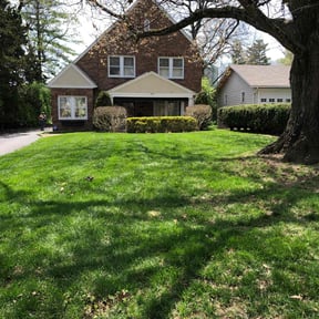 gardening service by Ricers Residential Services LLC reviewed on April 25, 2025