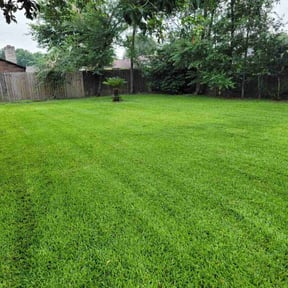 yard work by Liberty's lawn care reviewed on December 2, 2025