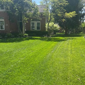 yard maintenance by Speedy &amp; Reliable Solutions reviewed on February 8, 2026