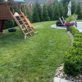 landscaping by Import &domestic & more & law reviewed on August 21, 2025