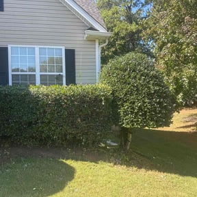 Bush Trimming by Majestic Gardens reviewed on October 23, 2025