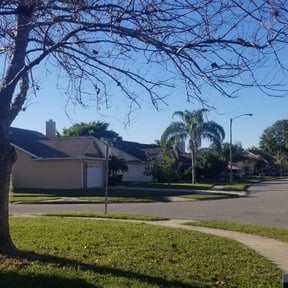 Bush Trimming by J&R Lawn and landscape,Llc reviewed on August 17, 2025