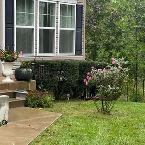 Bush Trimming by King of Lawn Care LLC reviewed on August 17, 2025