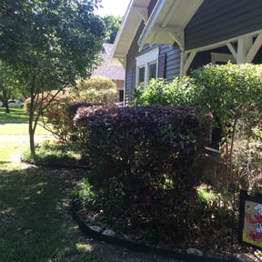 Bush Trimming by J C Enterprises reviewed on August 21, 2025
