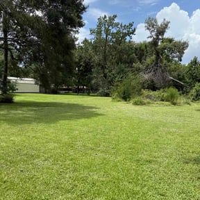 yard work by El Coqui Lawn Care reviewed on November 19, 2025