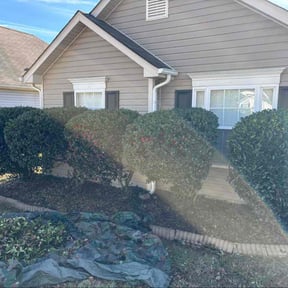 Bush Trimming by Best Bet Yard Care reviewed on December 20, 2025