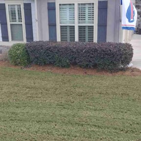 Bush Trimming by Crawford lawn service reviewed on October 24, 2025