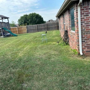 lawn care services by The Lawn Guy reviewed on May 17, 2025