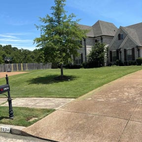 landscape maintenance by A & A Landscaping reviewed on August 16, 2025