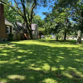 landscape maintenance by Atlanta Junk Removal and Lawns reviewed on August 16, 2025