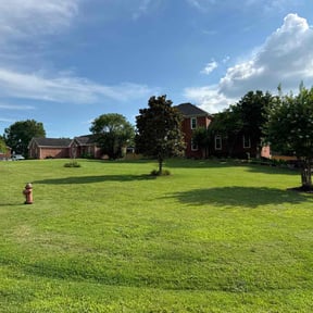 lawn service by Under Cut Home and Lawn Services reviewed on April 30, 2025