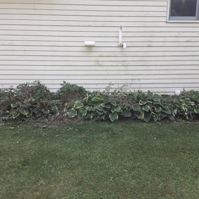 Flower Bed Weeding by McGraw Lawn & Landscaping reviewed on August 17, 2025