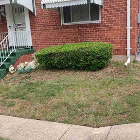 Bush Trimming by T&amp;K LAWN CARE&amp;MORELLC reviewed on April 24, 2026