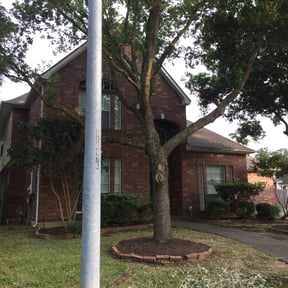 Bush Trimming by Land Elements inc reviewed on August 21, 2025