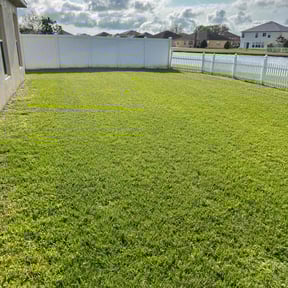 turf maintenance by Banks Lawn Services reviewed on August 16, 2025