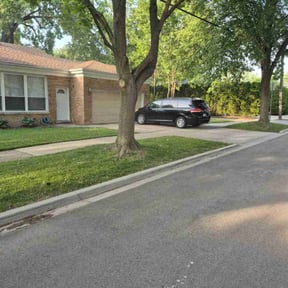 yard care by Jose Perez Landscaping reviewed on August 31, 2024